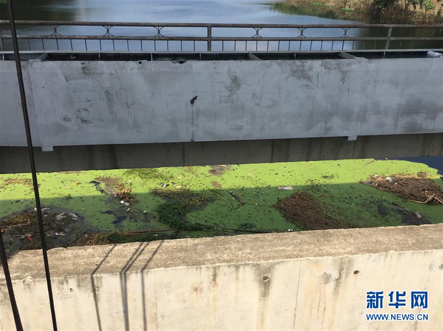 （新華視點(diǎn)&middot;圖文互動(dòng)）（2）上游洪水來襲下游魚蟹死亡，泄洪為何變泄污？