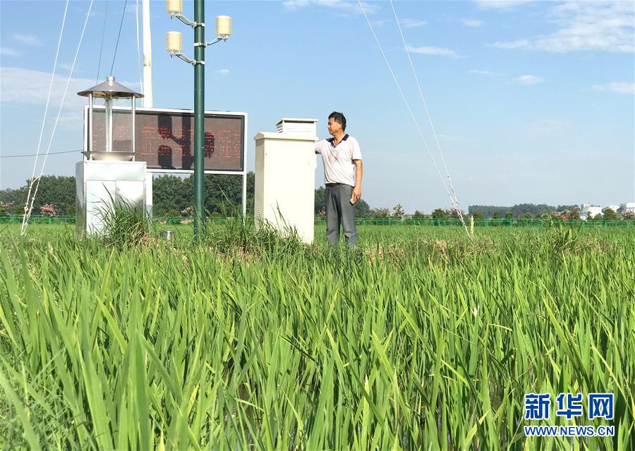 （新華全媒頭條&middot;圖文互動(dòng)）（4）最年輕的節(jié)日 最悠久的牽念&mdash;&mdash;寫(xiě)給首個(gè)中國(guó)農(nóng)民豐收節(jié)