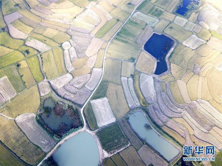 （新華全媒頭條&middot;壯闊東方潮　奮進新時代&mdash;&mdash;慶祝改革開放40年&middot;圖文互動）（2）小崗，與時代同行&mdash;&mdash;&ldquo;中國農(nóng)村改革第一村&rdquo;40年變遷的改革啟示