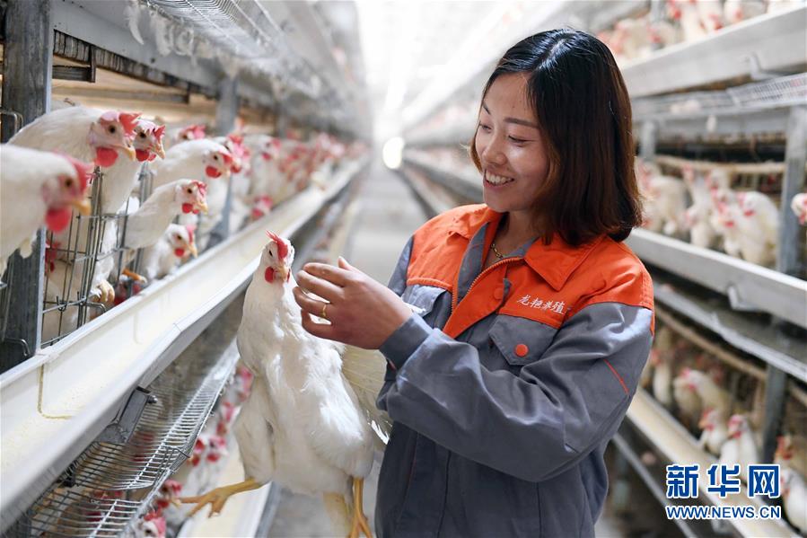 （新華全媒頭條&middot;圖文互動）（1）希望灑在金色田野&mdash;&mdash;寫在鄉(xiāng)村振興戰(zhàn)略實施一周年之際