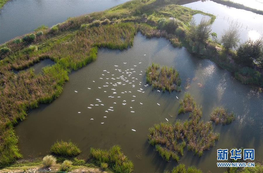 （圖文互動&middot;百城百縣百企調研行）（5）&ldquo;濕地?？?rdquo;的生態(tài)文明建設實踐