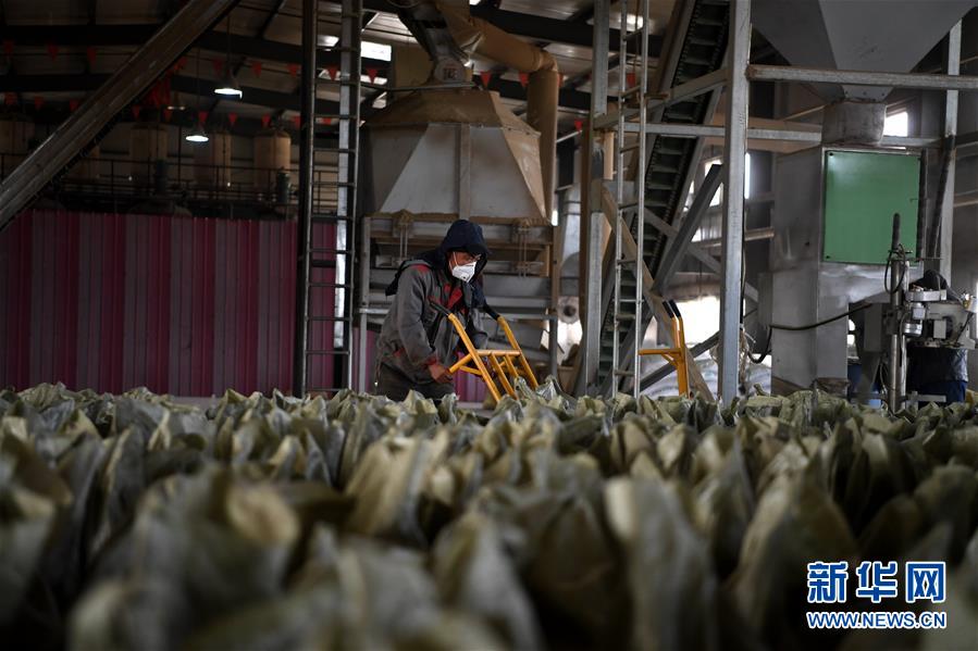 （在習(xí)近平新時(shí)代中國特色社會(huì)主義思想指引下&mdash;&mdash;新時(shí)代新氣象新作為&middot;鄉(xiāng)村振興戰(zhàn)略&middot;圖文互動(dòng)）（1）&ldquo;與其放火，不如打包&rdquo;&mdash;&mdash;山西渾源秸稈綜合再利用見聞