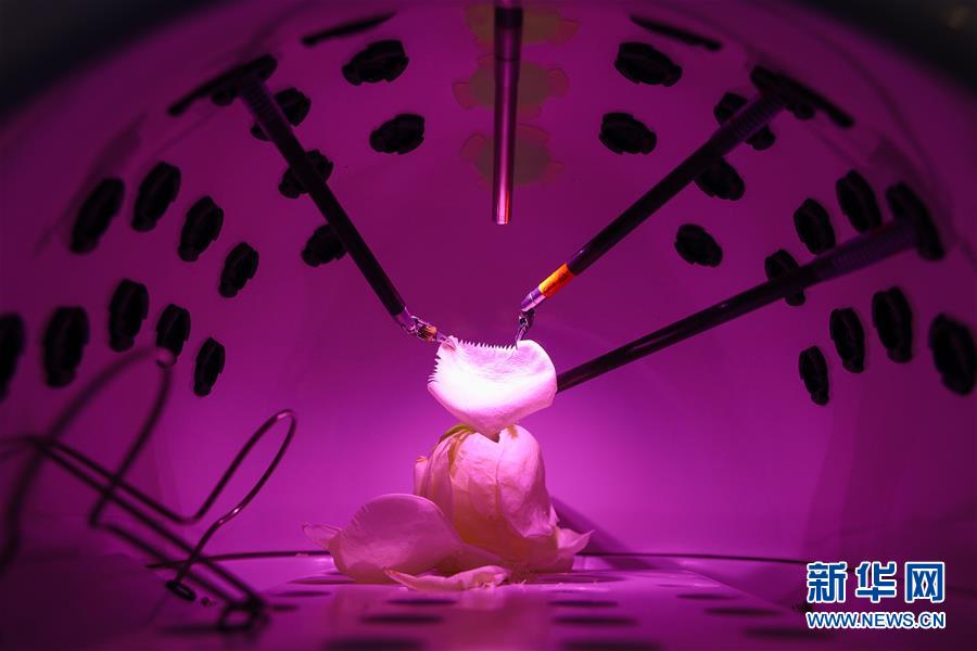 （鏡觀中國&middot;新華社國內(nèi)照片一周精選）（3）機械手術(shù)&ldquo;手&rdquo;