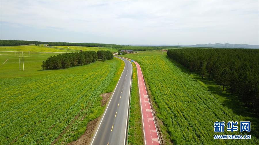 （新華全媒頭條&middot;圖文互動(dòng)）（4）那一抹綠色，走進(jìn)越來(lái)越多人心里&mdash;&mdash;河北塞罕壩續(xù)寫(xiě)新時(shí)代綠色傳奇