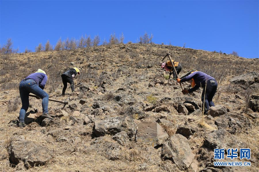 （新華全媒頭條&middot;圖文互動(dòng)）（8）那一抹綠色，走進(jìn)越來(lái)越多人心里&mdash;&mdash;河北塞罕壩續(xù)寫(xiě)新時(shí)代綠色傳奇