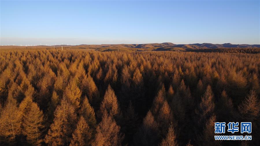 （新華全媒頭條&middot;圖文互動(dòng)）（6）那一抹綠色，走進(jìn)越來(lái)越多人心里&mdash;&mdash;河北塞罕壩續(xù)寫(xiě)新時(shí)代綠色傳奇