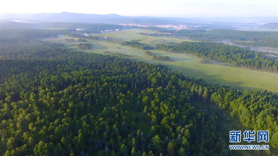 （新華全媒頭條&middot;圖文互動(dòng)）（5）那一抹綠色，走進(jìn)越來(lái)越多人心里&mdash;&mdash;河北塞罕壩續(xù)寫(xiě)新時(shí)代綠色傳奇