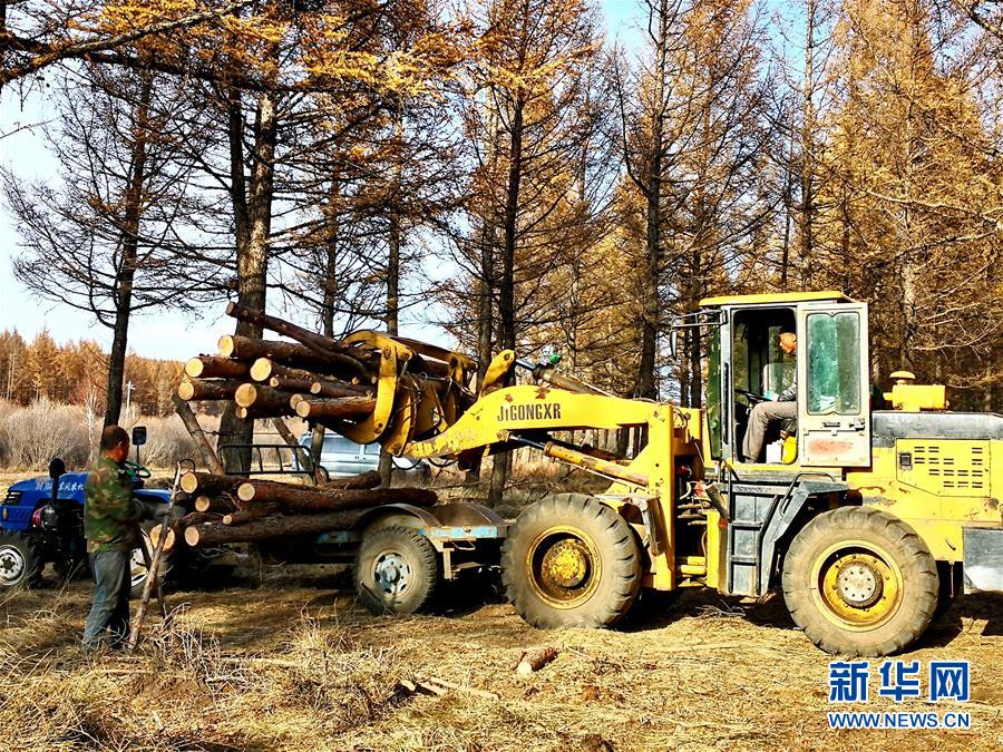 （新華全媒頭條&middot;圖文互動(dòng)）（7）那一抹綠色，走進(jìn)越來(lái)越多人心里&mdash;&mdash;河北塞罕壩續(xù)寫(xiě)新時(shí)代綠色傳奇