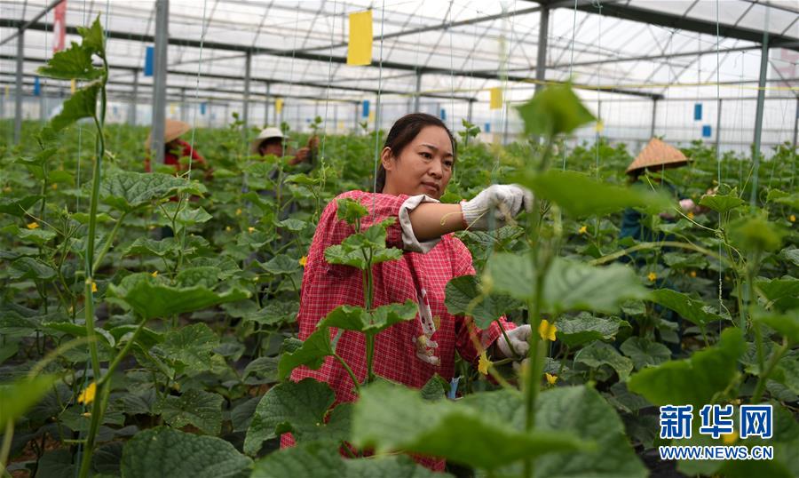 （新華全媒頭條&middot;圖文互動(dòng)）（11）心中有夢(mèng)想，腳下就有力量&mdash;&mdash;寫在&ldquo;中國夢(mèng)&rdquo;提出六周年之際