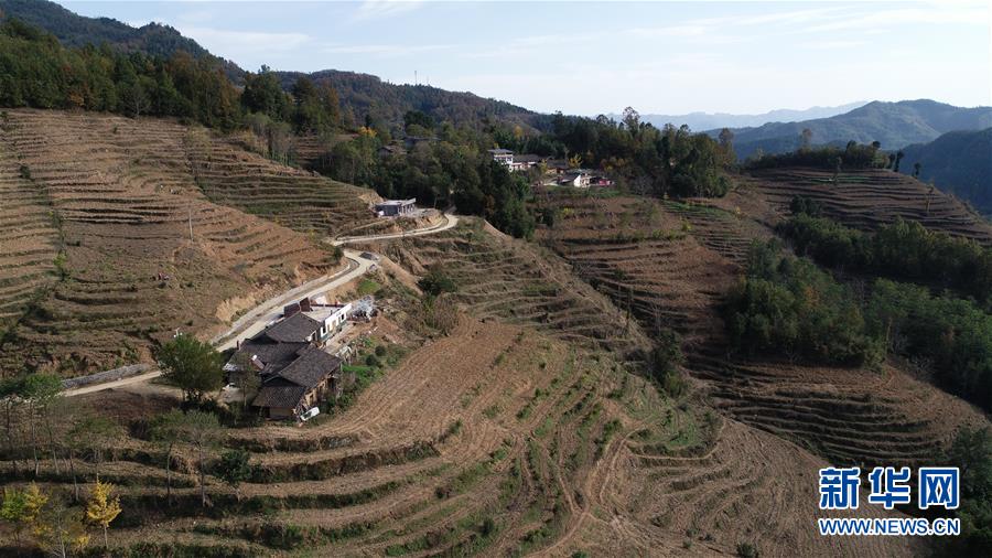 （在習(xí)近平新時(shí)代中國特色社會主義思想指引下&middot;慶祝改革開放40周年&middot;共享發(fā)展&middot;圖文互動(dòng)）（3）&ldquo;浙江親人&rdquo;請心安 白茶苗已種滿山&mdash;&mdash;浙江安吉捐贈(zèng)四川青川白茶苗種植地探訪