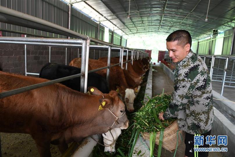 （輝煌60年&middot;壯美新廣西&middot;圖文互動）（7）奮力書寫壯鄉(xiāng)反貧困歷史新篇章&mdash;&mdash;廣西干部群眾接續(xù)奮斗脫貧攻堅(jiān)觀察