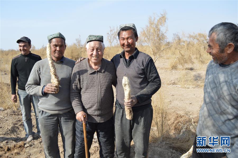 （圖文互動(dòng)）（3）&ldquo;劉紅柳&rdquo;，一輩子大漠扎根種樹
