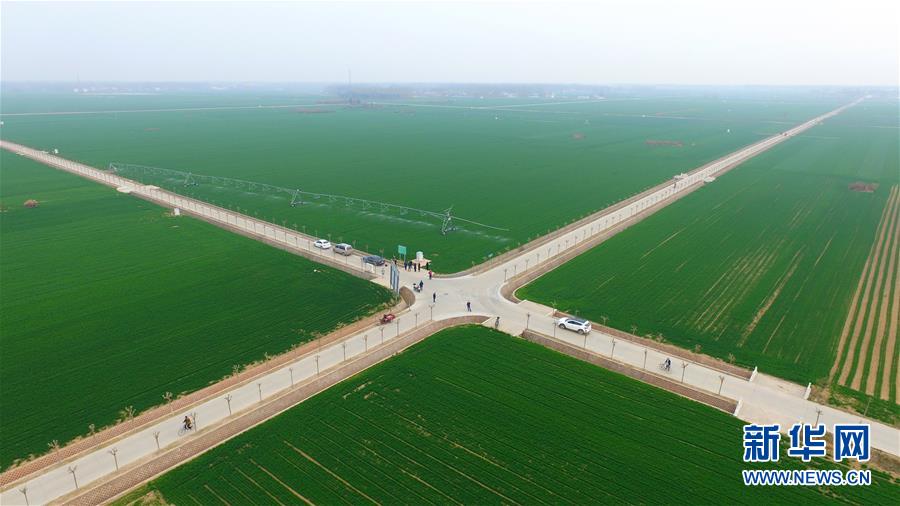 (來(lái)自一線(xiàn)的調(diào)查報(bào)告·圖文互動(dòng))(1)從“填飽肚子”到“過(guò)好日子”——改革開(kāi)放40年河南農(nóng)業(yè)三重“蝶變記”