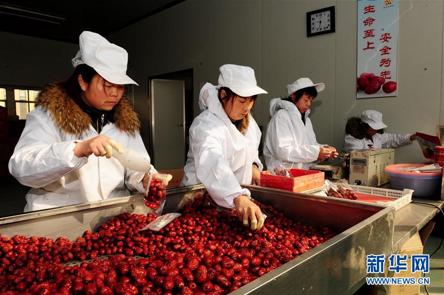 (來(lái)自一線(xiàn)的調(diào)查報(bào)告·圖文互動(dòng))(2)從“填飽肚子”到“過(guò)好日子”——改革開(kāi)放40年河南農(nóng)業(yè)三重“蝶變記”