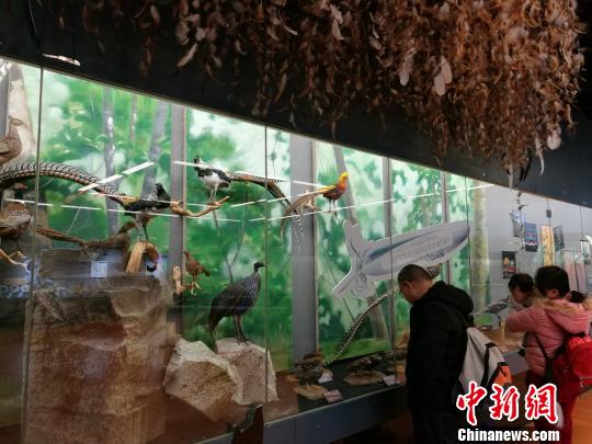 圖為展覽現(xiàn)場。　胡遠航 攝