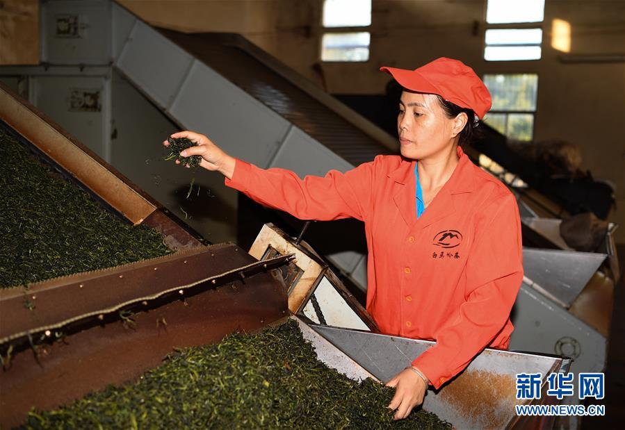 (奮進新時代·迎接兩會)(2)開放發(fā)展——推動形成全面開放新格局