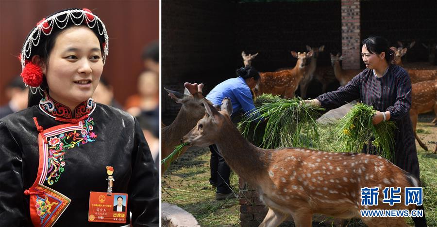 (兩會(huì)·影像鏈接)全國(guó)人大代表雷金玉:努力吸引人才 推動(dòng)鄉(xiāng)村振興