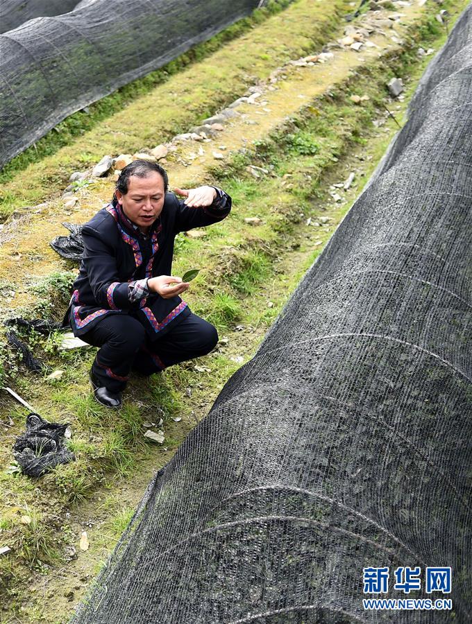 （兩會&middot;基層代表履職故事）（7）全國人大代表龍獻(xiàn)文：幸福都是奮斗出來的!