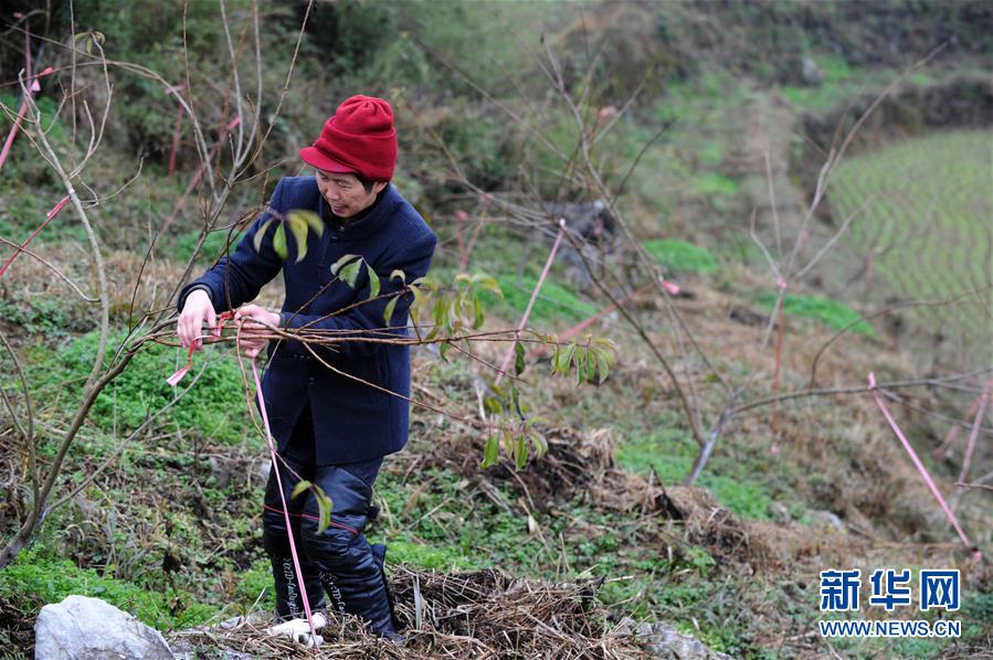 （圖文互動）（3）平靜而充滿力量&mdash;&mdash;&ldquo;中國網(wǎng)事&middot;感動2018&rdquo;年度網(wǎng)絡人物群像
