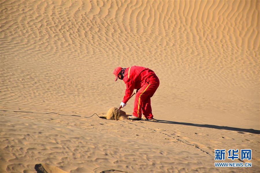 （新春走基層&middot;圖文互動）（3）走進(jìn)塔克拉瑪干：探訪沙漠物探人