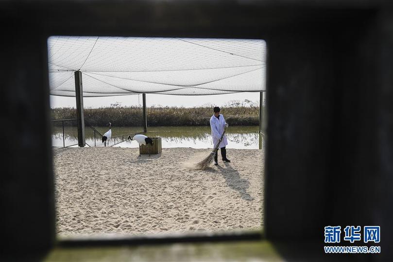 （兩會(huì)前夕看落實(shí)&middot;圖文互動(dòng)）（3）綠色發(fā)展引領(lǐng) 守護(hù)&ldquo;魚米之鄉(xiāng)&rdquo;&mdash;&mdash;江蘇落實(shí)習(xí)近平總書記全國兩會(huì)重要講話精神紀(jì)實(shí)