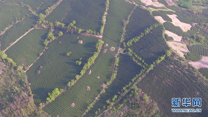 （兩會(huì)前夕看落實(shí)&middot;圖文互動(dòng)）（9）綠色發(fā)展引領(lǐng) 守護(hù)&ldquo;魚米之鄉(xiāng)&rdquo;&mdash;&mdash;江蘇落實(shí)習(xí)近平總書記全國兩會(huì)重要講話精神紀(jì)實(shí)