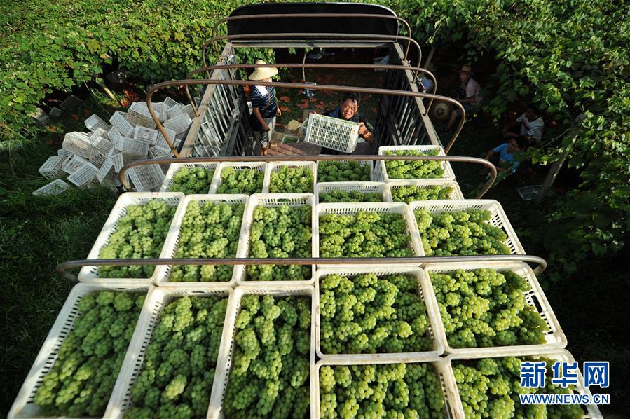 （兩會前夕看落實&middot;圖文互動）（7）決戰(zhàn)脫貧攻堅 奮力后發(fā)趕超&mdash;&mdash;貴州落實習近平總書記全國兩會重要講話精神紀實