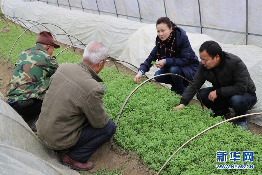 （兩會前夕看落實&middot;圖文互動）（1）奮力脫貧攻堅 生態(tài)追&ldquo;清&rdquo;逐&ldquo;綠&rdquo;&mdash;&mdash;江西落實習(xí)近平總書記全國兩會重要講話精神紀(jì)實