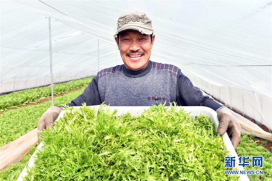 （兩會(huì)前夕看落實(shí)&middot;圖文互動(dòng)）（3）融合&ldquo;三生三美&rdquo; 打造鄉(xiāng)村振興齊魯樣板&mdash;&mdash;山東落實(shí)習(xí)近平總書記全國兩會(huì)重要講話精神紀(jì)實(shí)