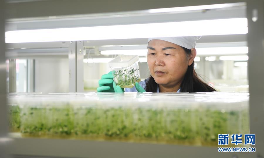 （兩會(huì)前夕看落實(shí)&middot;圖文互動(dòng)）（5）春風(fēng)涌動(dòng)兩江潮&mdash;&mdash;重慶落實(shí)習(xí)近平總書記全國(guó)兩會(huì)重要講話精神紀(jì)實(shí)