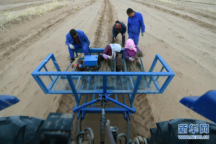 （新華全媒頭條&middot;圖文互動(dòng)）（12）八步沙&middot;六老漢&middot;三代人