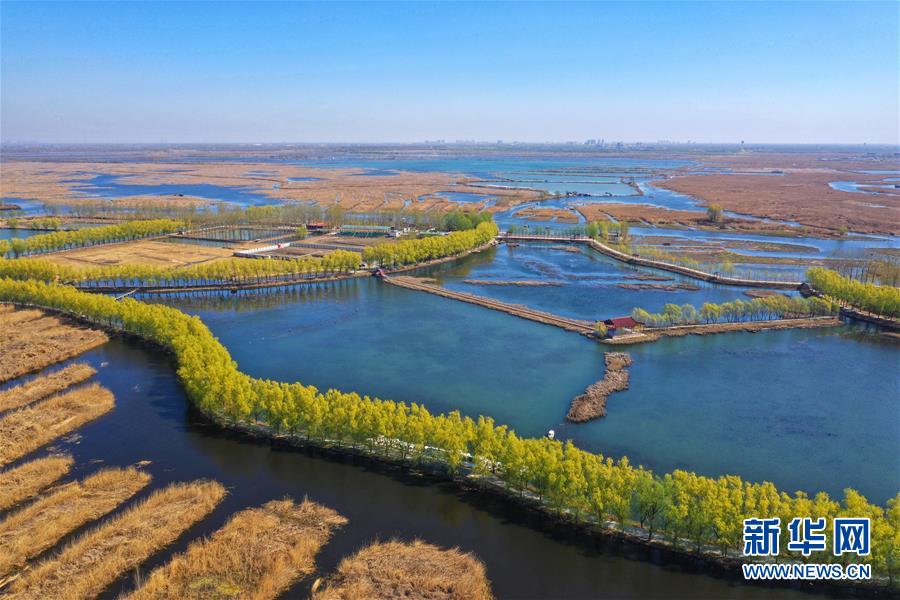 （新華全媒頭條&middot;圖文互動）（5）奮進，向著未來之城！&mdash;&mdash;河北雄安新區(qū)建設(shè)發(fā)展兩周年紀實