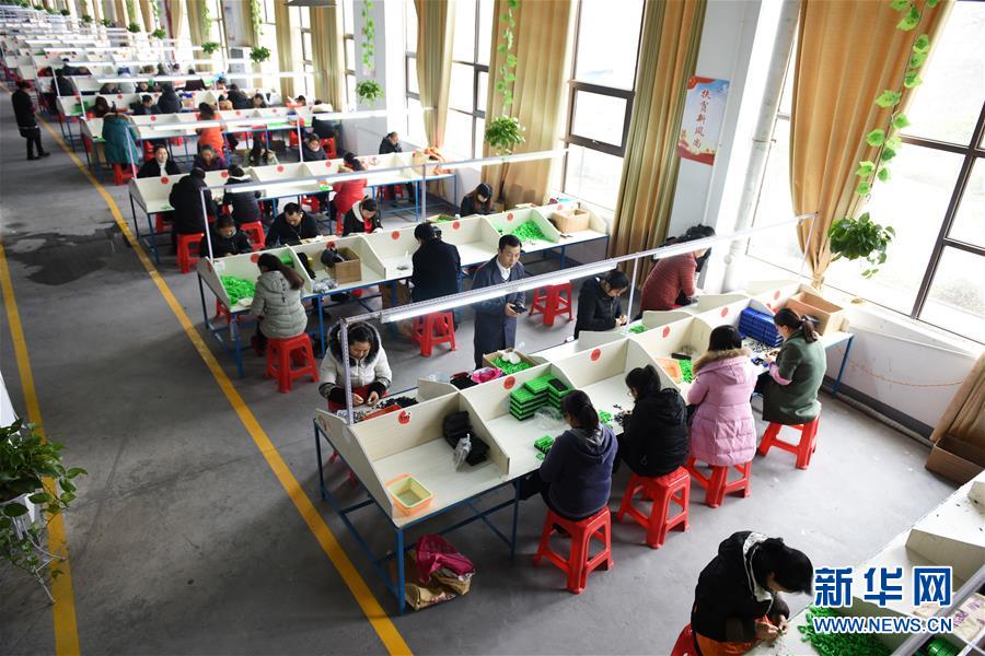 （在習近平新時代中國特色社會主義思想指引下&mdash;&mdash;新時代新作為新篇章&middot;圖文互動）（5）&ldquo;搬遷到哪里，服務就延伸到哪里&rdquo;&mdash;&mdash;貴州推進易地扶貧搬遷&ldquo;后半篇文章&rdquo; 