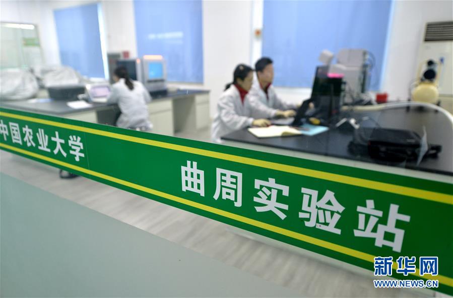 （愛國情 奮斗者&middot;圖文互動(dòng)）（3） &ldquo;解民生之多艱，育天下之英才&rdquo;&mdash;&mdash;中國農(nóng)大師生扎根田野書寫奉獻(xiàn)之歌