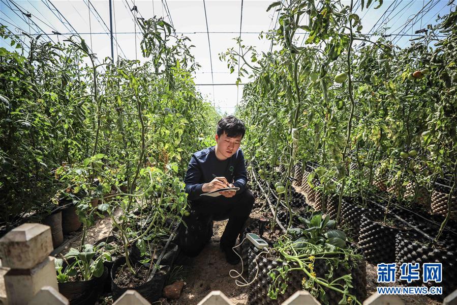 （新華全媒頭條&middot;圖文互動）（5）青春萬歲 強國有我