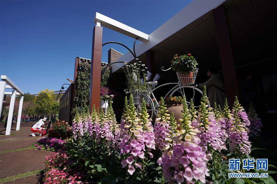 (北京世園會(huì))(2)北京世園會(huì)迎來“天津日”