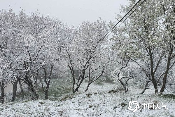 冷空氣要撤啦！今日全國降水整體弱 華南仍有強(qiáng)對流