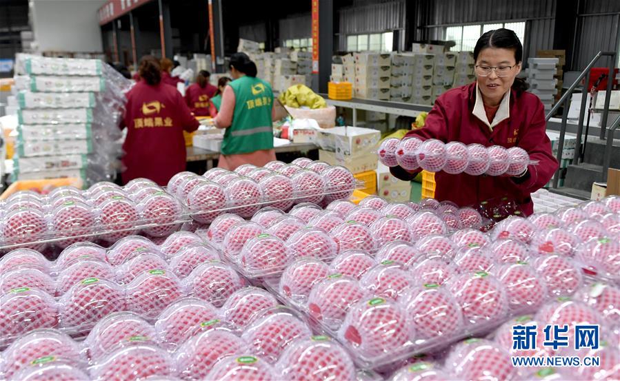 (新華全媒頭條·圖文互動)(2)追夢在新時代的春天里——革命圣地延安告別絕對貧困巡禮