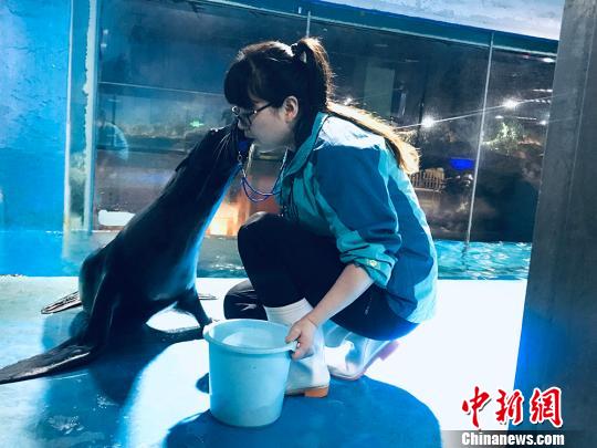 于雅麗與海獅親密瞬間?！“瑧c龍 攝