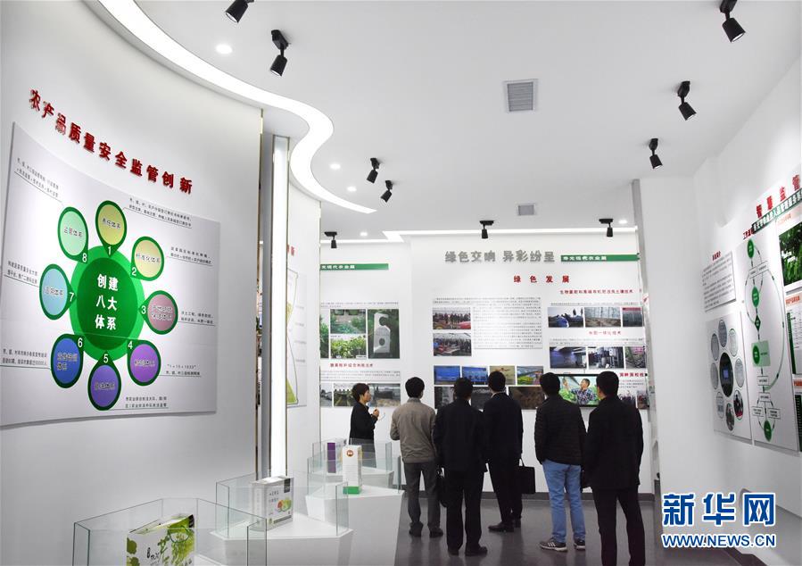 (壯麗70年·奮斗新時(shí)代·圖文互動(dòng))(5)山東壽光:一棵“菜”興一座城