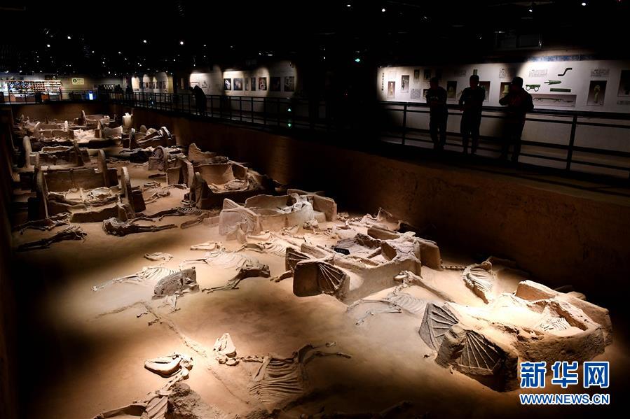 （新華全媒頭條&middot;圖文互動(dòng)）（4）&ldquo;若問(wèn)古今興廢事，請(qǐng)君只看洛陽(yáng)城&rdquo;&mdash;&mdash;千年古都&ldquo;烹制&rdquo;博物館盛宴