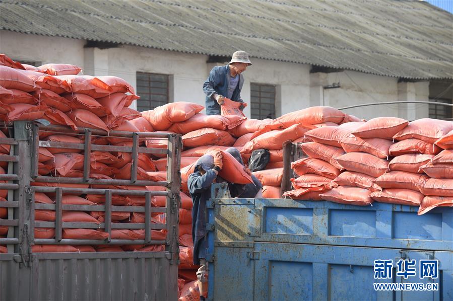 （在習(xí)近平新時(shí)代中國(guó)特色社會(huì)主義思想指引下&mdash;&mdash;新時(shí)代新作為新篇章&middot;圖文互動(dòng)）（1）云南省陸良縣：農(nóng)民給供銷社打&ldquo;白條&rdquo; 