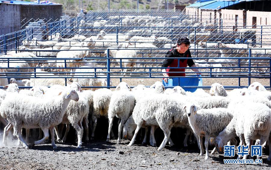 （圖文互動(dòng)）（2）柳暗花明又一村&mdash;&mdash;&ldquo;今日之中國&rdquo;系列述評之三