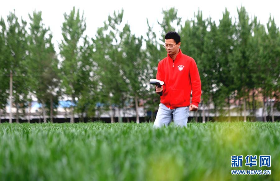 (新華全媒頭條·愛國情 奮斗者·圖文互動)(5)把論文寫在祖國的大地上——中國農(nóng)業(yè)大學(xué)46年扎根河北曲周服務(wù)鄉(xiāng)村振興紀(jì)實(shí)