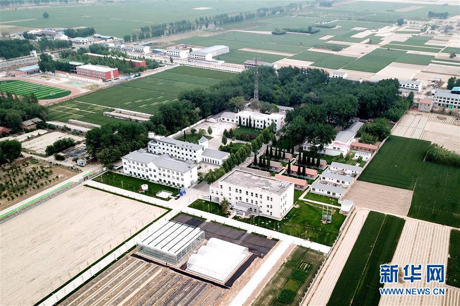 (新華全媒頭條·愛國情 奮斗者·圖文互動)(12)把論文寫在祖國的大地上——中國農(nóng)業(yè)大學(xué)46年扎根河北曲周服務(wù)鄉(xiāng)村振興紀(jì)實(shí)