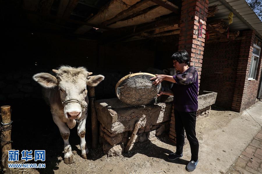 （圖文互動(dòng)）（2）一條38年的生命通道：媽媽會(huì)一直把你當(dāng)作&ldquo;雛鳥&rdquo;