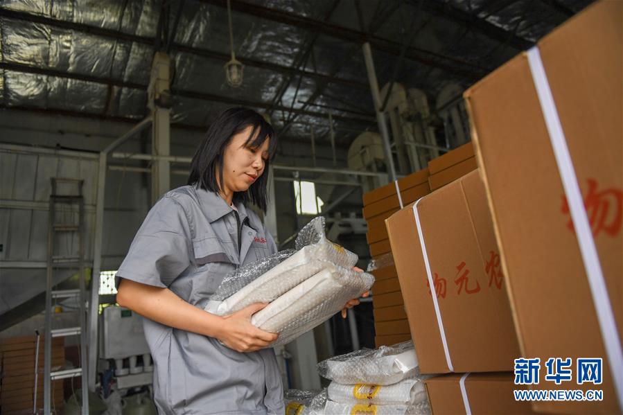 （在習(xí)近平新時代中國特色社會主義思想指引下&mdash;&mdash;新時代新作為新篇章&middot;圖文互動）（6）大學(xué)生種田讓農(nóng)民&ldquo;老把式&rdquo;開了眼&mdash;&mdash;吉林長白山下的稻田新事