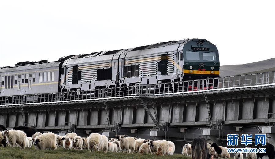 （新華全媒頭條&middot;壯麗70年&middot;奮斗新時(shí)代&middot;圖文互動(dòng)）（12）開(kāi)拓雪域高原的夢(mèng)想之路&mdash;&mdash;來(lái)自青藏鐵路的蹲點(diǎn)報(bào)告