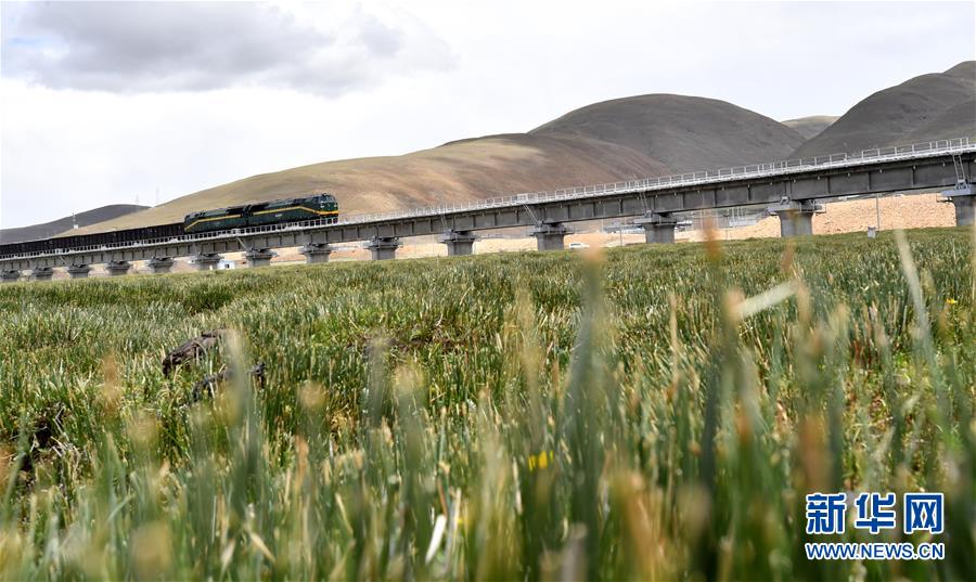 （新華全媒頭條&middot;壯麗70年&middot;奮斗新時(shí)代&middot;圖文互動(dòng)）（15）開(kāi)拓雪域高原的夢(mèng)想之路&mdash;&mdash;來(lái)自青藏鐵路的蹲點(diǎn)報(bào)告