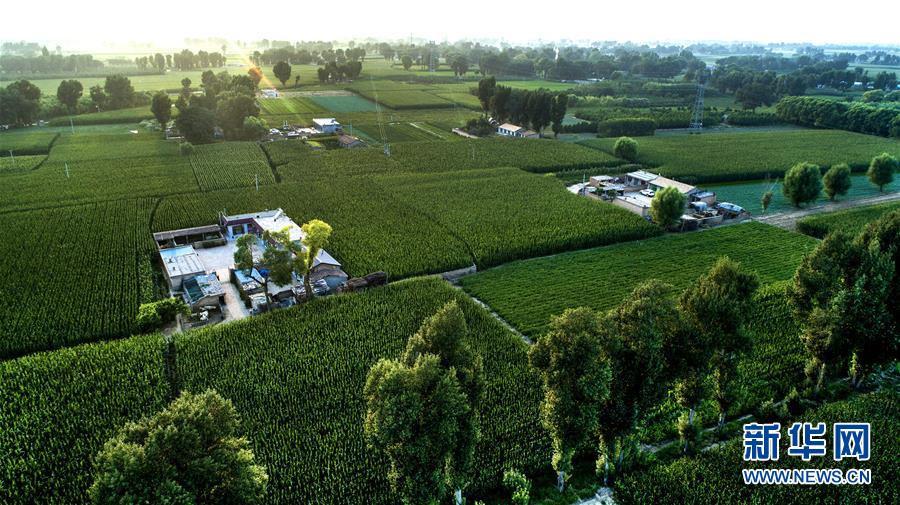 （權(quán)威訪談&middot;聚焦中國經(jīng)濟(jì)亮點(diǎn)&middot;圖文互動(dòng)）（2）防治土地荒漠化 推動(dòng)綠色發(fā)展&mdash;&mdash;專訪國家林業(yè)和草原局副局長劉東生